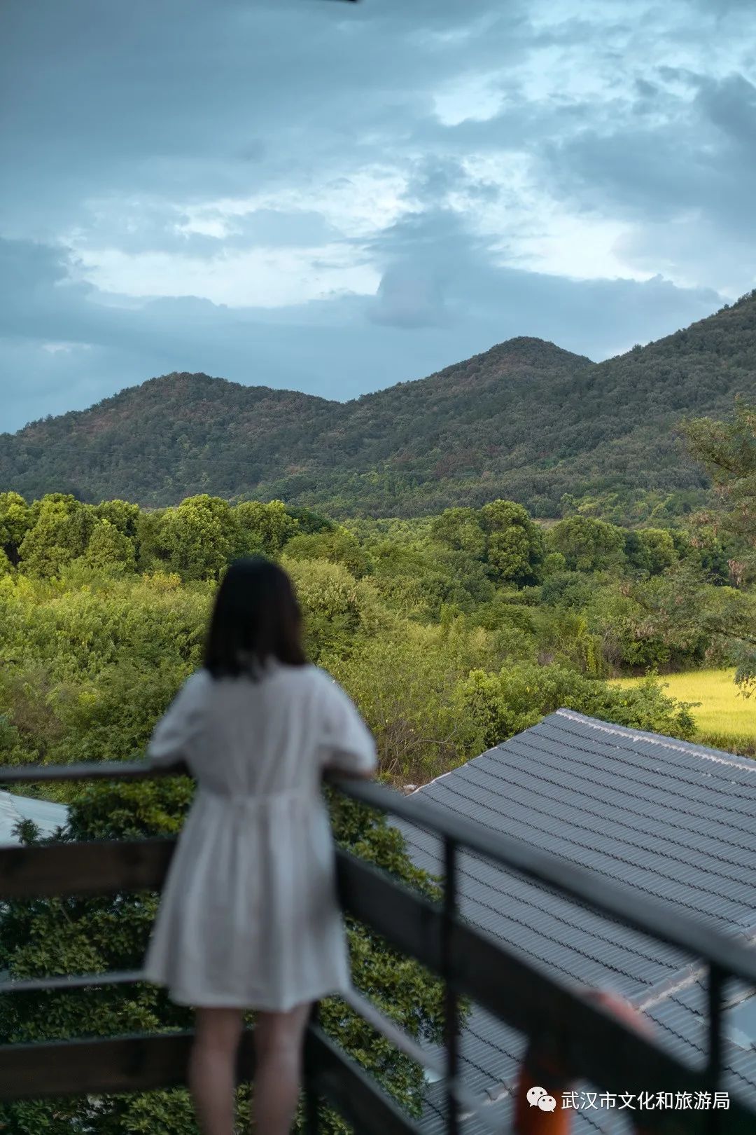 藏在武汉郊野的4家美宿,武汉藏在山里的民宿