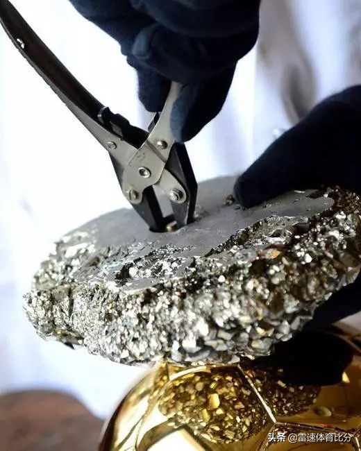 2012年金球奖前三,2006年金球奖亚军