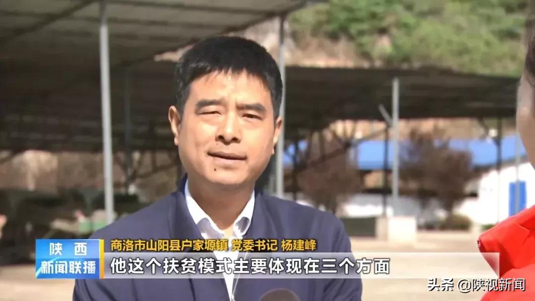 商洛山阳县这帮人对牛粪做了啥？竟比纯养牛多挣了10倍！