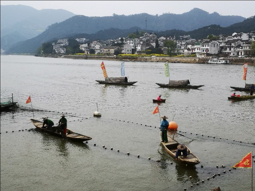 去安徽黄山玩攻略,安徽黄山三日游最佳攻略