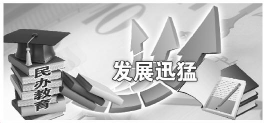 民办与公办真的差距很大吗,民办教育存在问题
