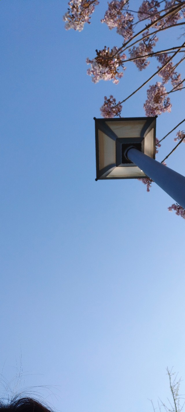 鲍山花园可以游玩的地方,鲍山公园跑步