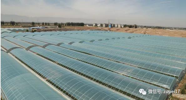 小型温室大棚用什么样的大棚,塑料大棚对比玻璃大棚