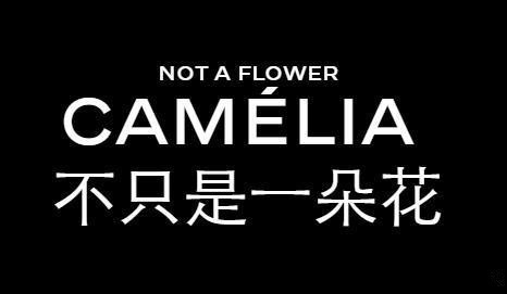 coco香奈儿简介,香奈儿coco香水为什么不持久