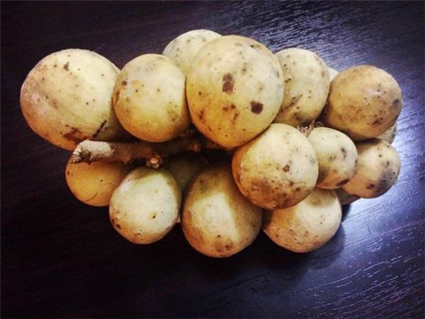 南方十大名水果,北方人绝对没吃过的六种水果