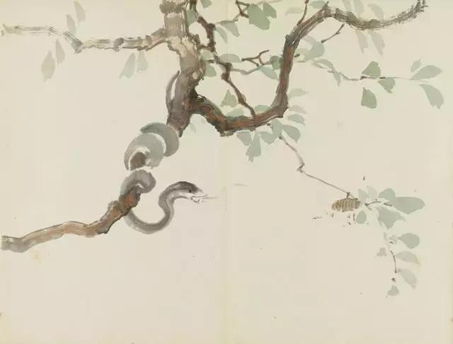 徐悲鸿彩色金币十二生肖大全套,徐悲鸿12生肖详解