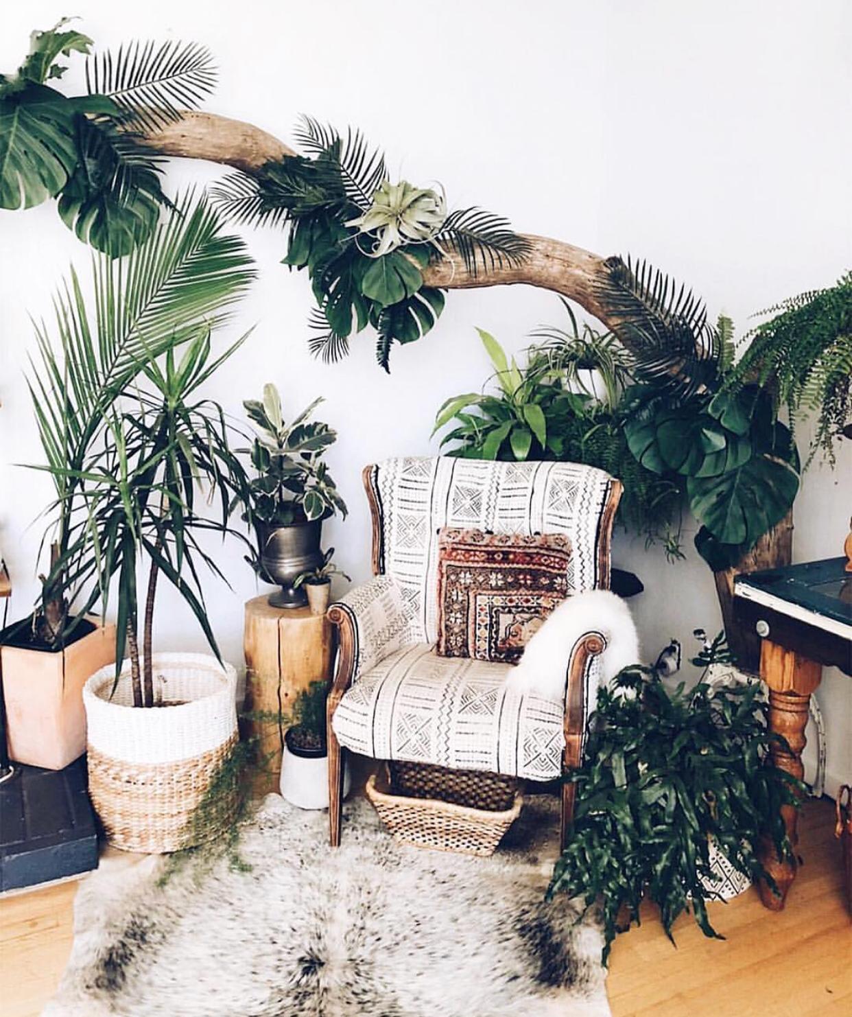 韩雪明星推荐好物,韩雪好物