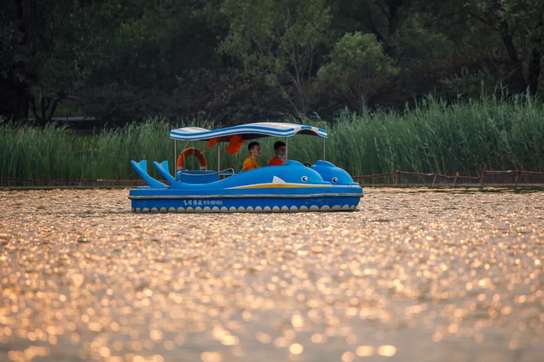 腾龙17-50f2.8镜头怎么样,腾龙150-600g2镜头拍什么好