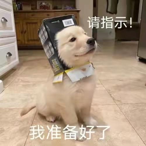 印度疫情怎么解决的,印度爆发疫情最需要什么