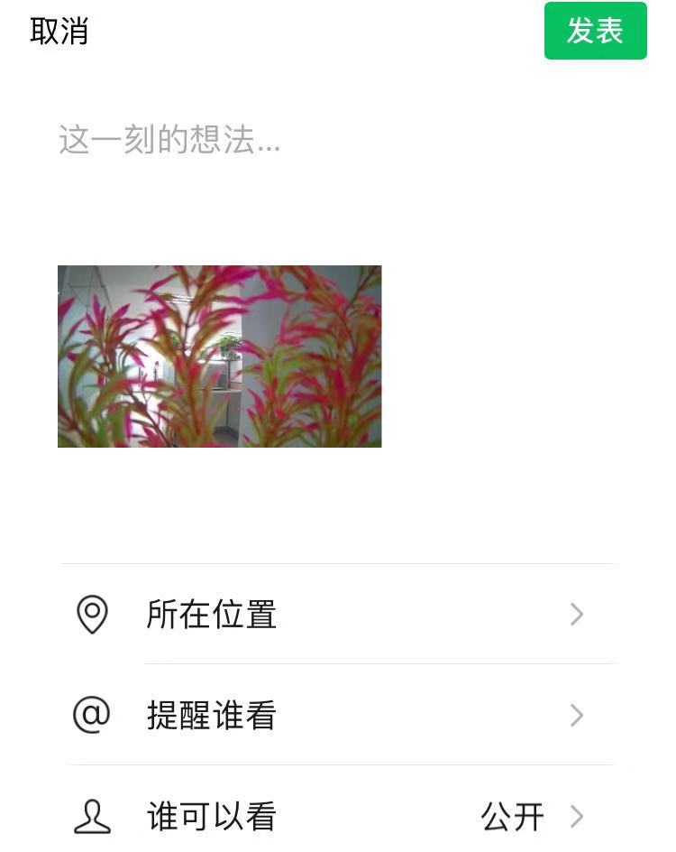 潜行多睿深度评测,潜行创新多睿遥控距离