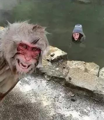 p图骗局新套路,可以导入图片的p图神器