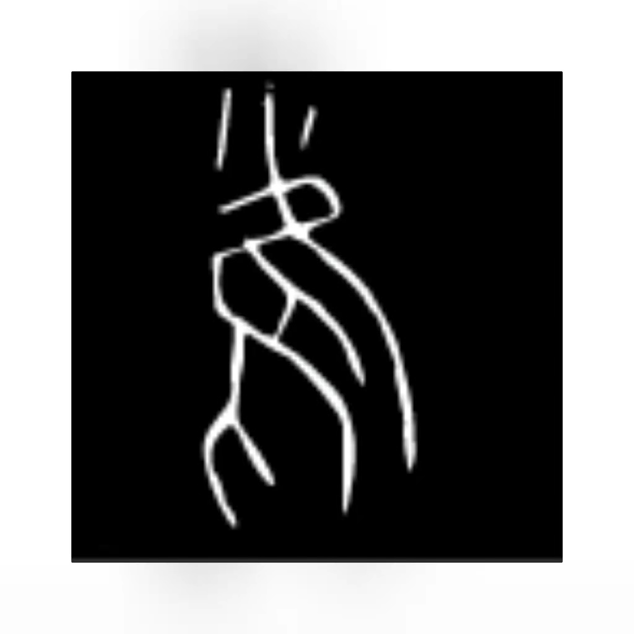 汉语中的音节什么意思,汉语中的音节是指