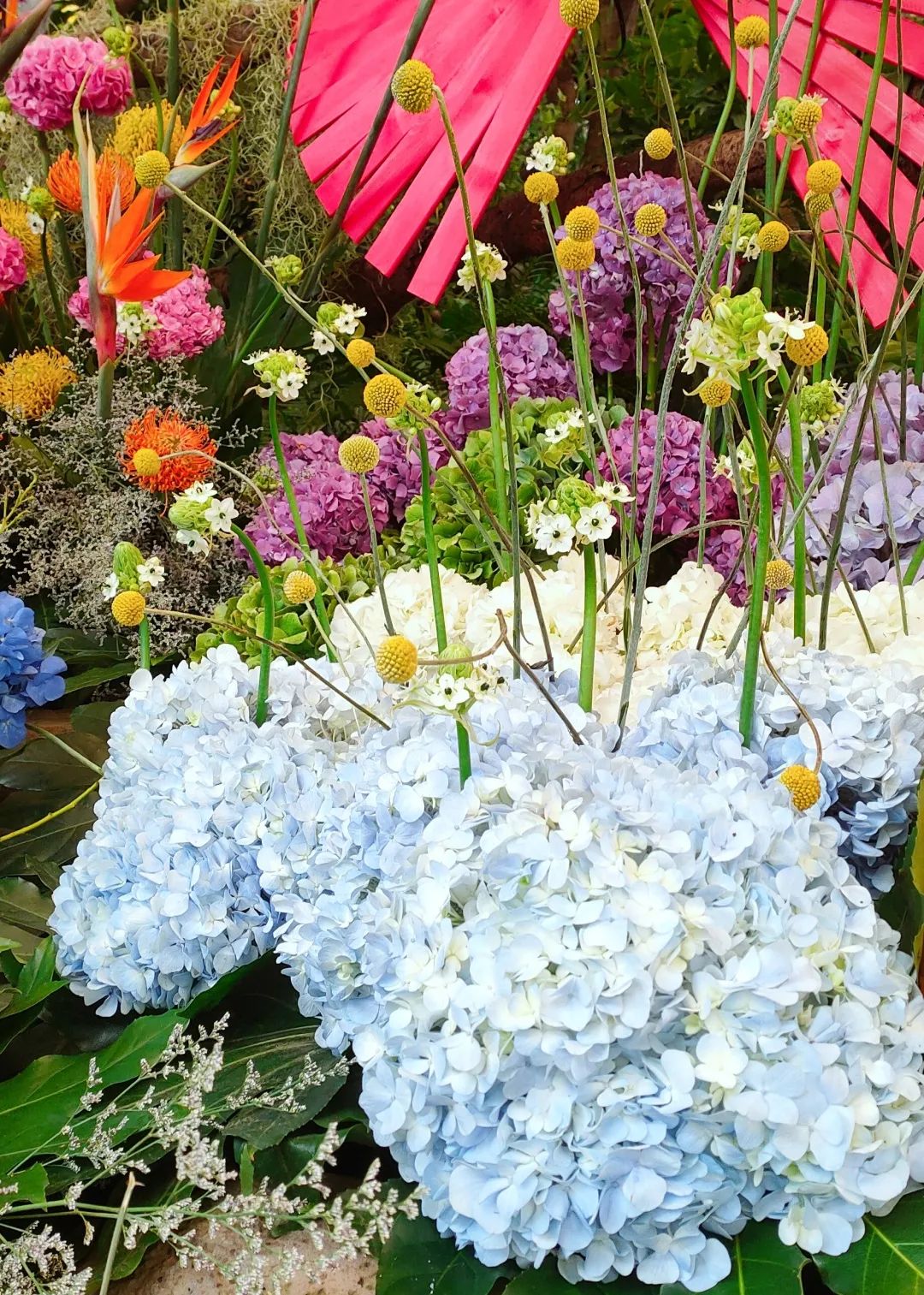 广州公园大片花海,广州哪个地铁站附近有花海