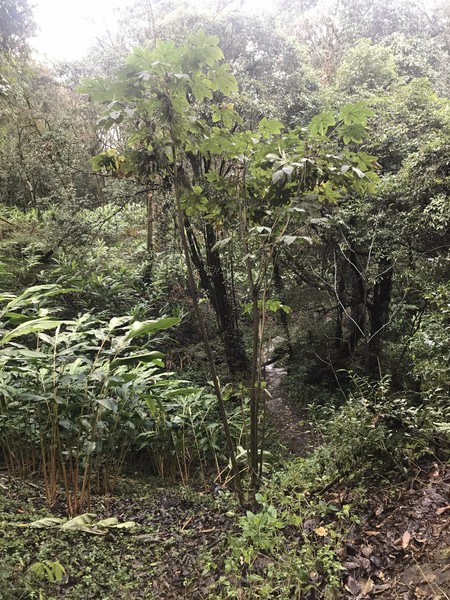 鑺掑競鍜岃吘鍐茬憺涓藉摢涓ソ,鑵惧啿鐟炰附鑺掑競瑗垮弻鐗堢撼