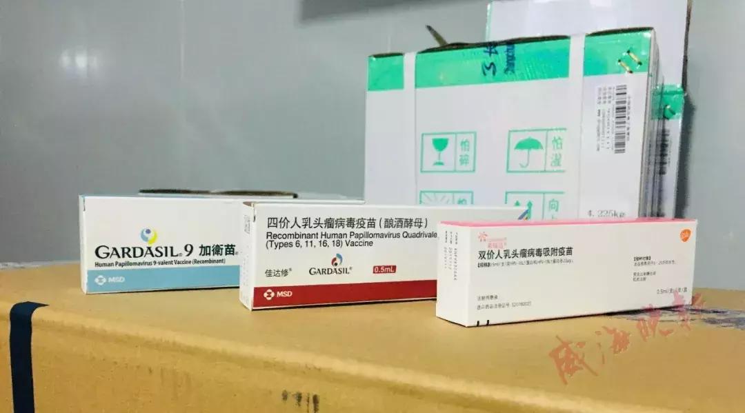 最新！威海首批九价宫颈癌疫苗到货，能供100多名女性接种