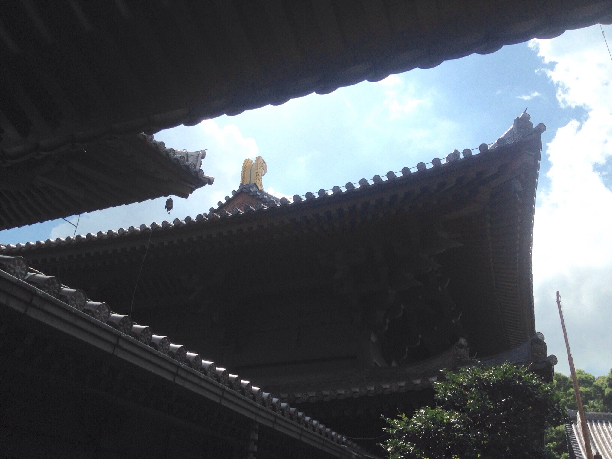 香港志莲净苑地图,香港志莲净苑好玩吗