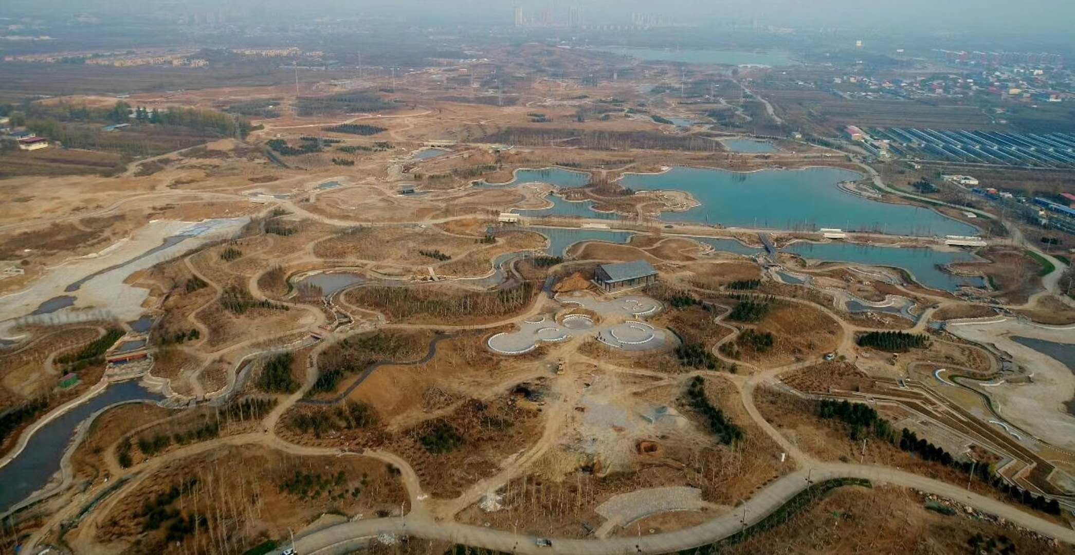 *疆新**男子沙漠5亩池塘养澳洲淡水虾,个头比手掌大,亩利润达万元