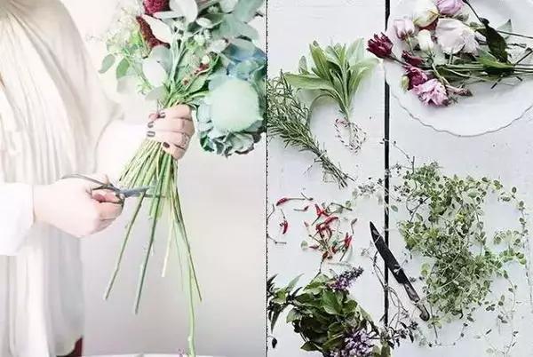 她用这种高颜值的干花装饰家里，隔壁邻居都惊叹不已