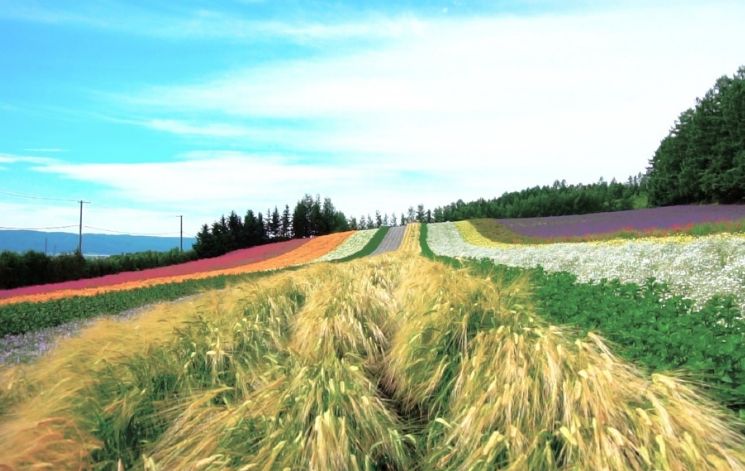 今年夏天的旅行计划,2022旅行愿望清单