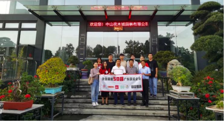 花木城盆景图片,创意盆景花木之乡