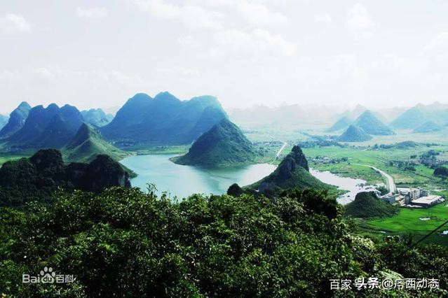 广西金秀最大镇,广西金秀有哪些乡镇