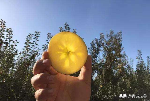 开春适合吃什么蔬菜和水果,开春了见到这5种水果别手软