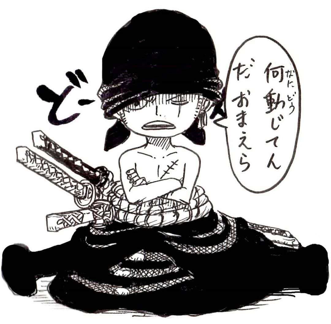 草帽团所有成员老了的样子,草帽团全部战死布鲁克靠果实存活