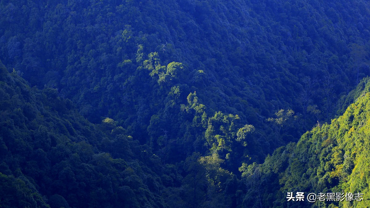 无量山镇游玩攻略一日游,无量山旅游攻略一日游多少钱