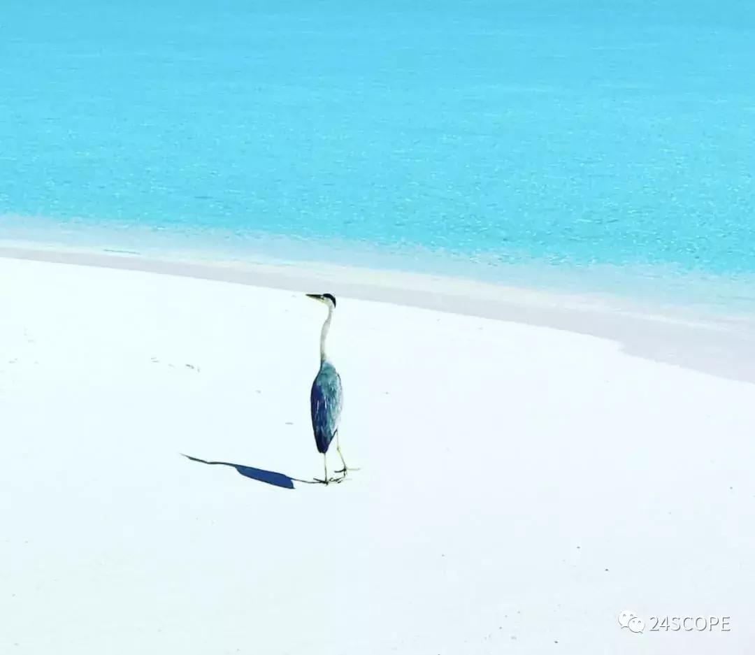 马尔代夫康杜玛岛攻略,马尔代夫怎么选岛