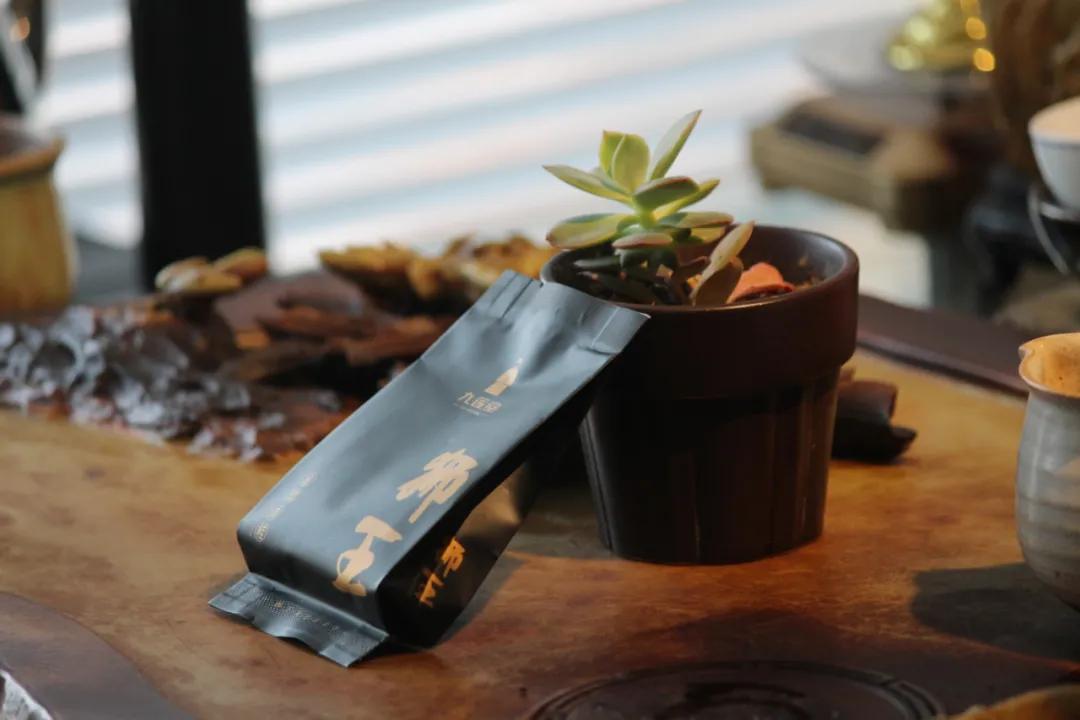 斗茶节白茶仙子,小狮王辛巴出世