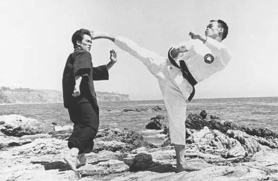 香港十大武打明星李小龙,香港武打明星成龙李连杰甄子丹