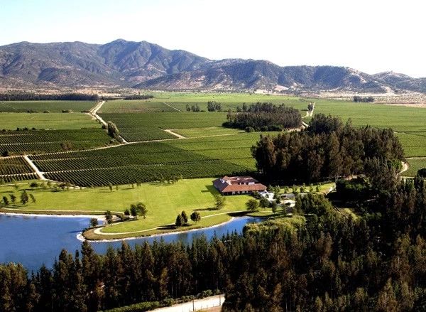 拉菲集团ip,拉菲集团是做什么的