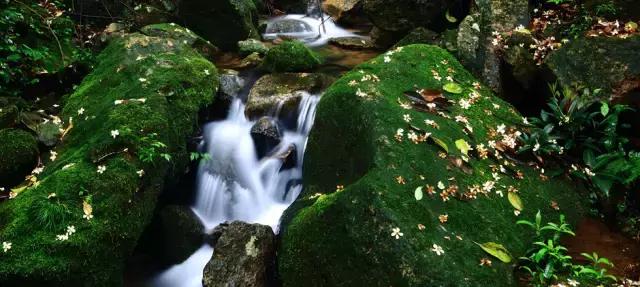 温州哪里好玩不用钱呢,温州旅游攻略最值得去的地方