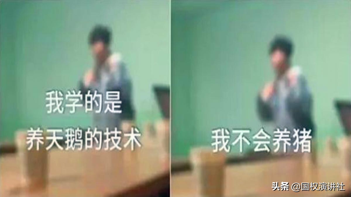 幼儿园园长称只养天鹅不养猪,我们学的是养天鹅的技术