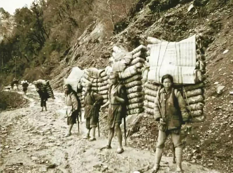 茶马古道上的千年茶香,茶马古道茶文化