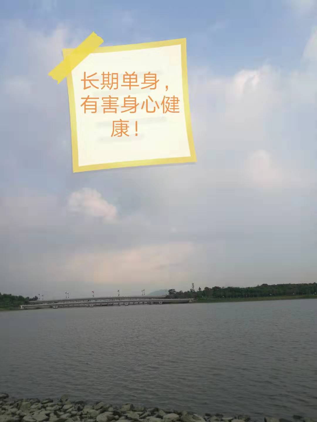 那些单身的人都去哪儿了,那些单身到老的人