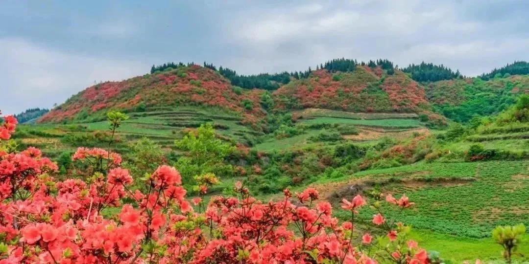 拉开夏天的序幕,拉开暑期序幕