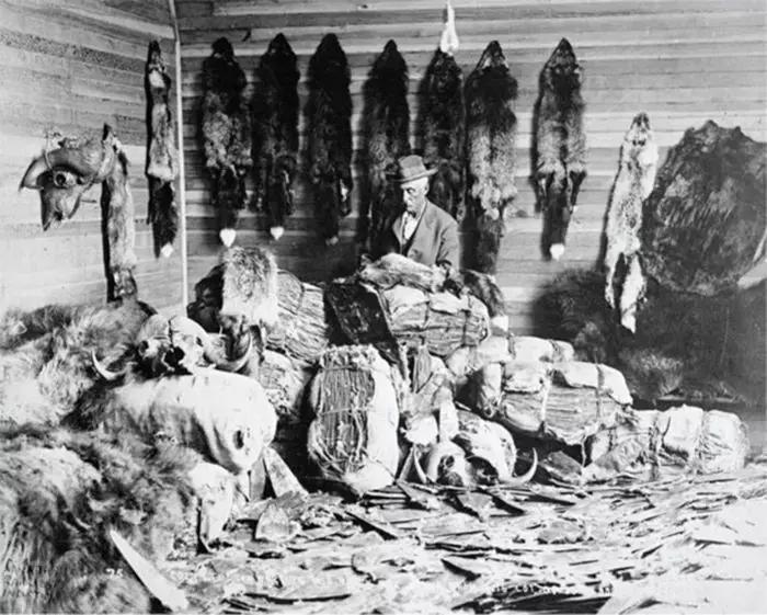 荒野猎人中的印第安人,荒野猎人里面的土著人