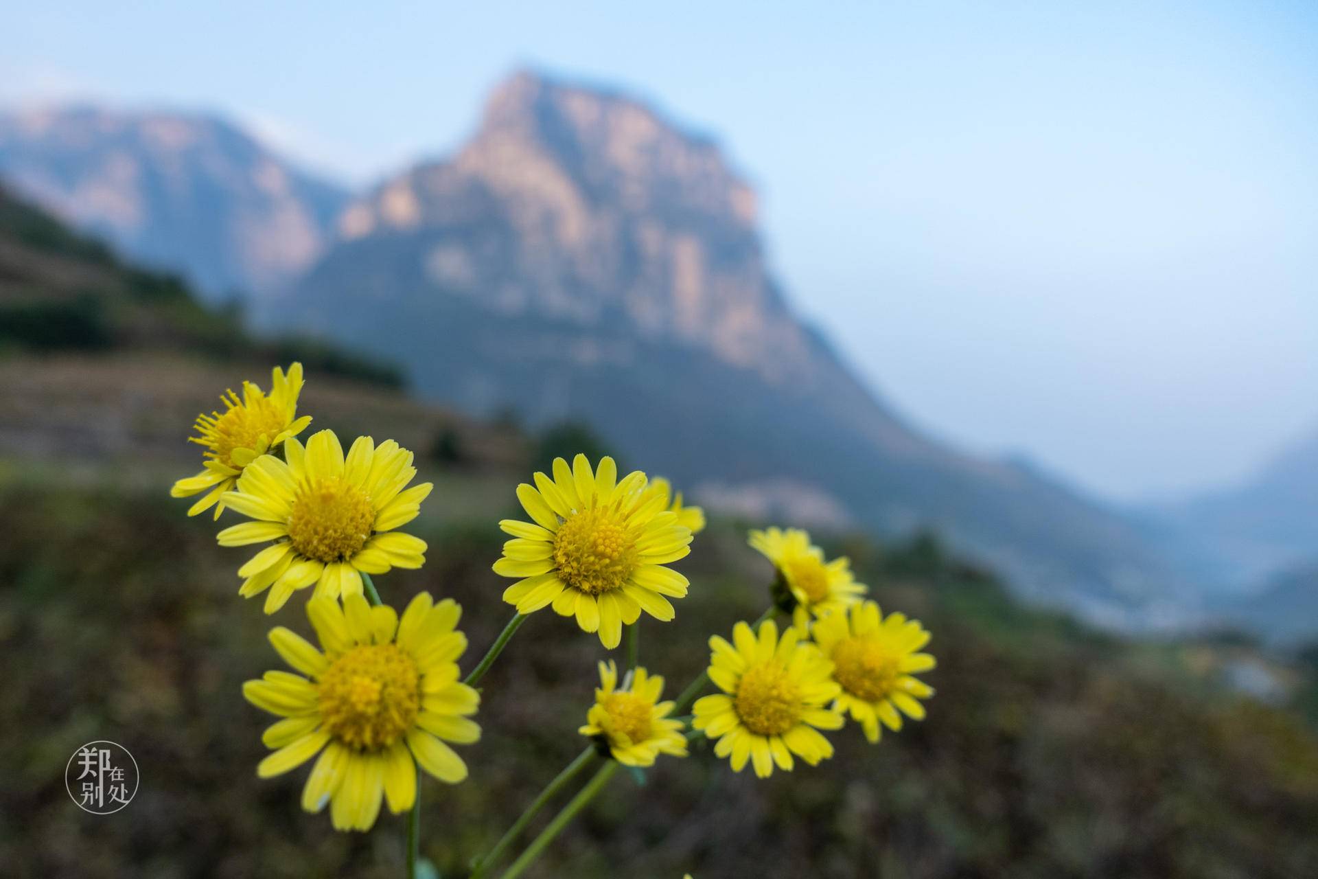 山西太行山攻略,山西太行山古村落自驾游