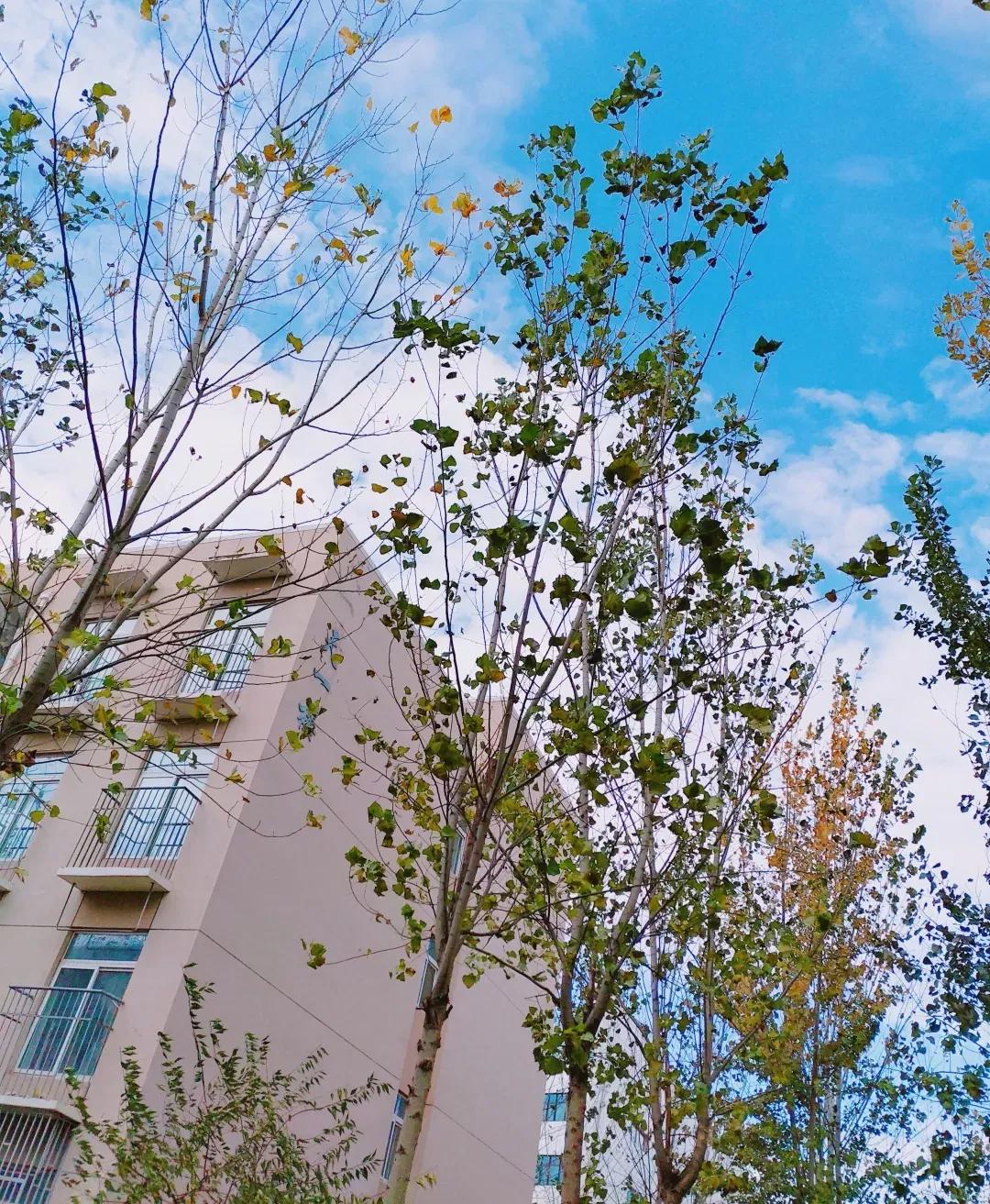 天津市独立院校（四）天津财经大学珠江学院