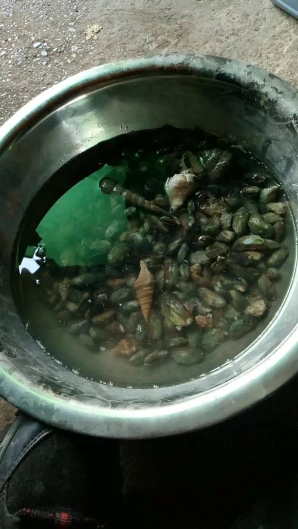 娴峰矝鏈ㄧ瓘婕傛祦,娴峰矝閽撻奔鎺㈤櫓