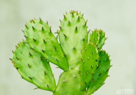 各种加盟创业骗局揭秘视频,加盟创业骗局大全视频讲解