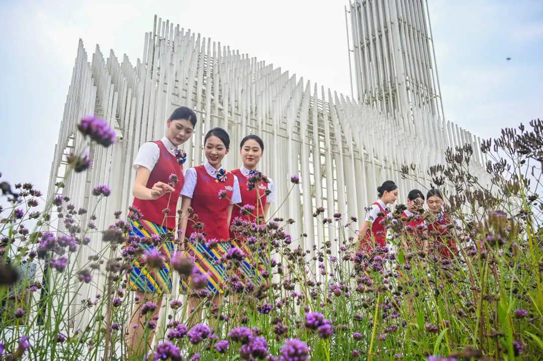 航天礼仪操,天航网红礼仪操