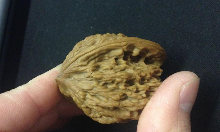 开口笑核桃是拼接的吗,原色元宝开口笑核桃