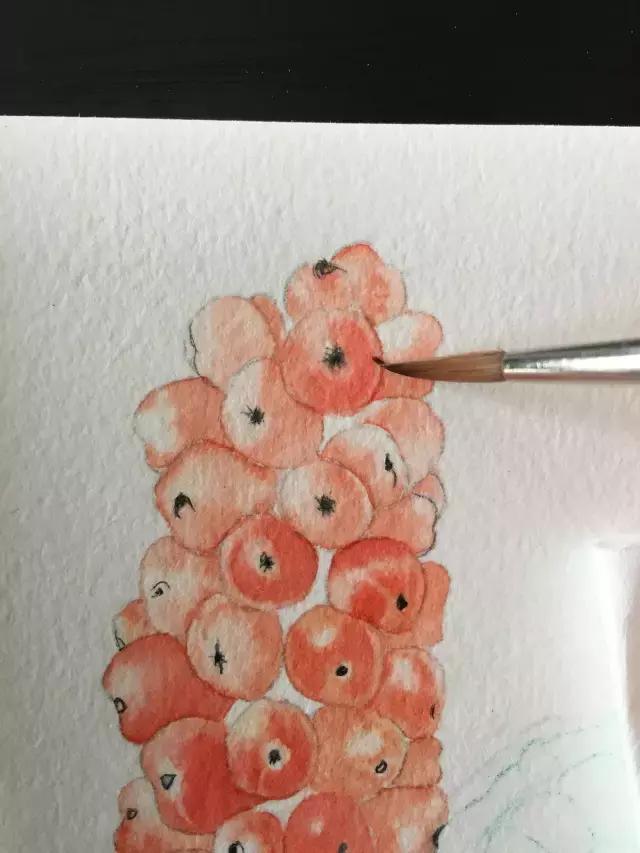 水彩密密麻麻的树叶怎么画,水彩画教程入门叶子