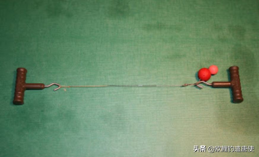 话说欧鲤钓组全集,欧鲤钓组可以钓哪些鱼