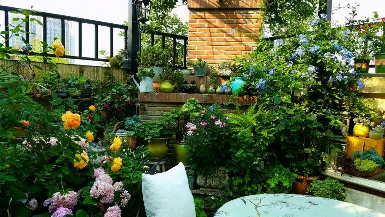 对话城市更新先行者|何勍：如何用一首诗改变一座城？