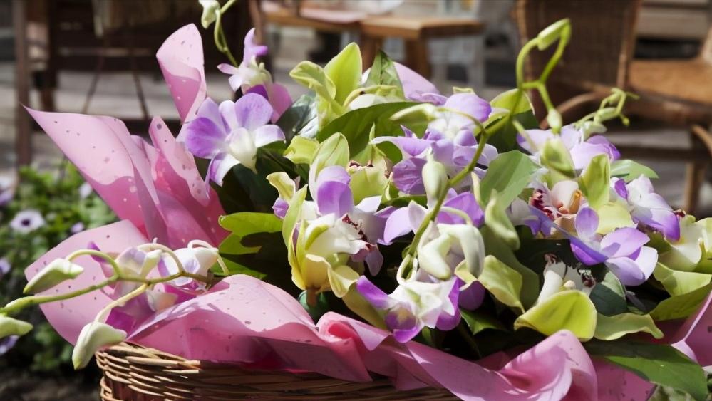 聪明女人在爱情里懂得这些事,在爱情里女人必须要知进退