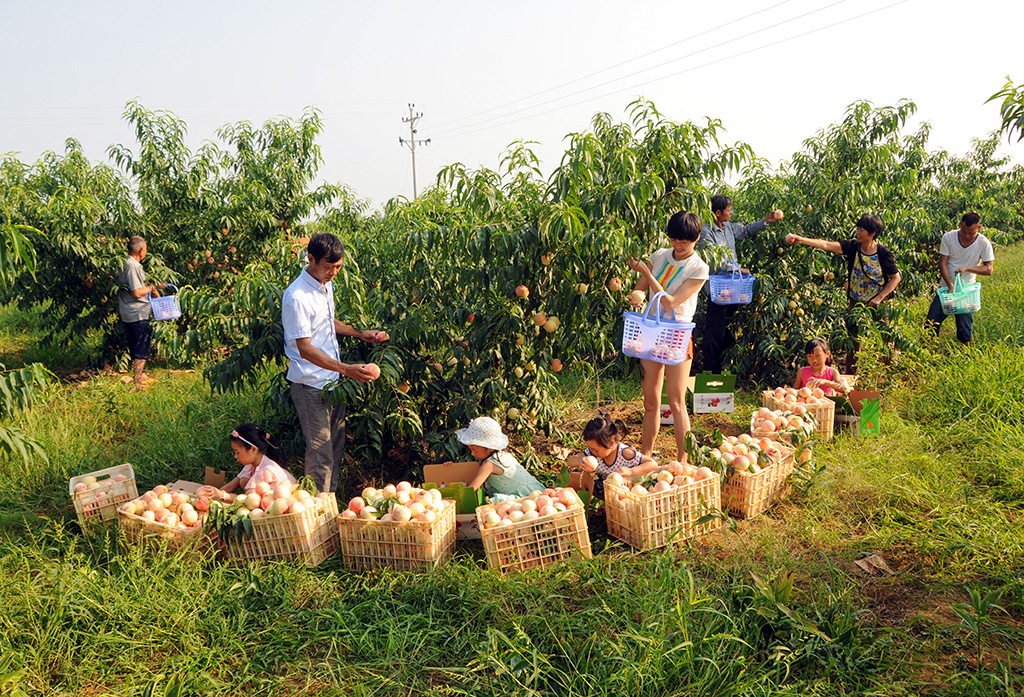 重庆有什么适合居住的小镇,重庆最适合养老的世外桃源