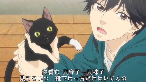 日本动漫不是校园的恋爱番推荐,治愈恋爱催泪日番动漫推荐